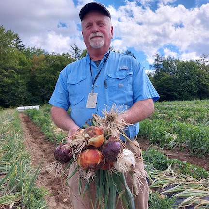 Mark McBrine holding freshly harvested onions in a field